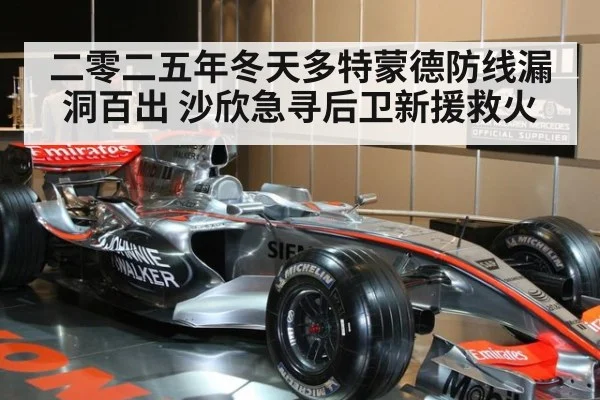 二零二五年冬天多特蒙德防线漏洞百出 沙欣急寻后卫新援救火