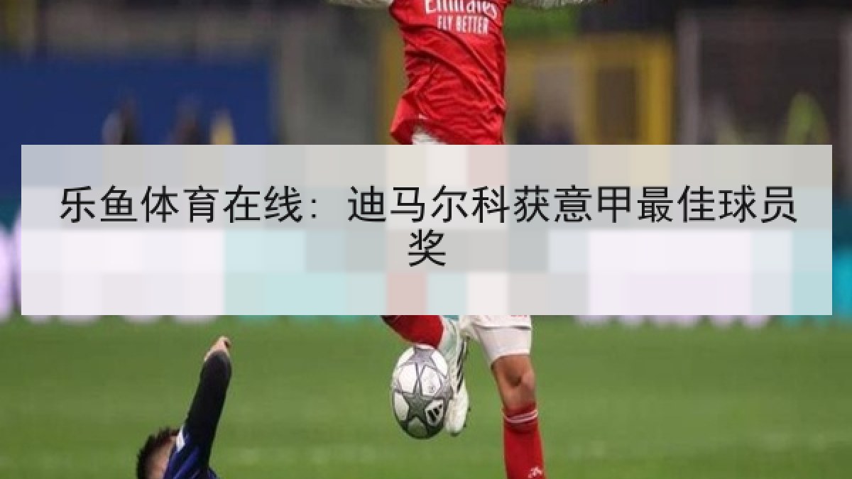 乐鱼体育在线: 迪马尔科获意甲最佳球员奖